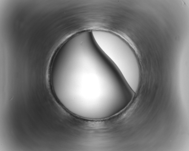 X0000089741285200706210856