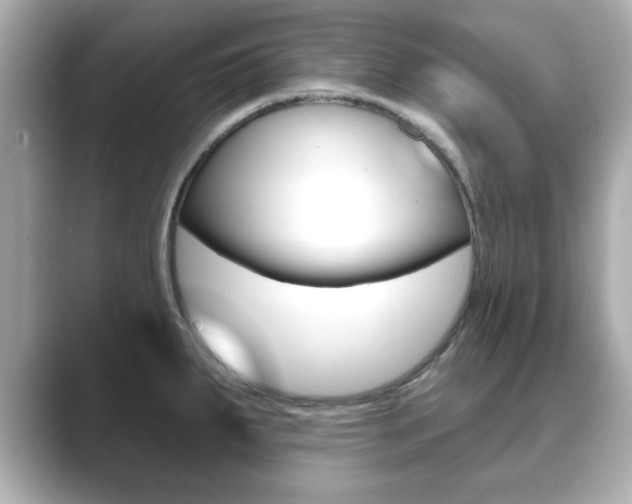 X0000089741287200706210856