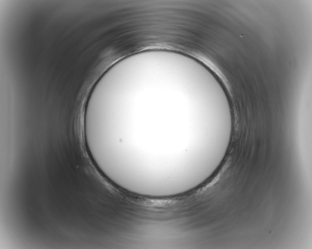 X0000089741290200706210856