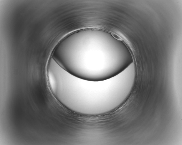 X0000089741291200706210856