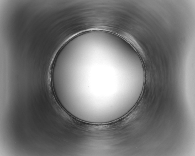 X0000089741292200706210856
