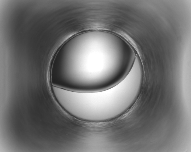 X0000089741293200706210856