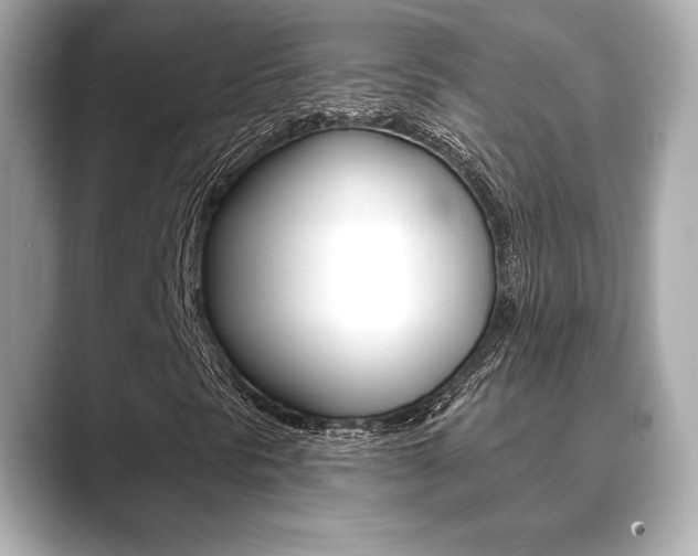 X0000089741297200706210856