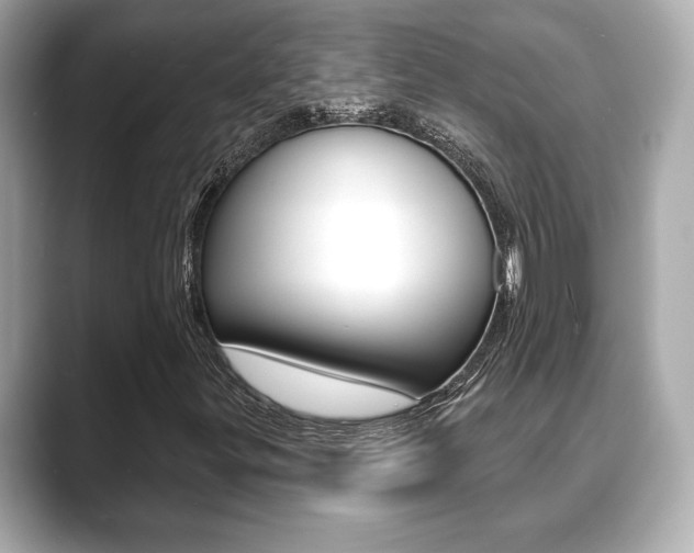 X0000089741299200706210856