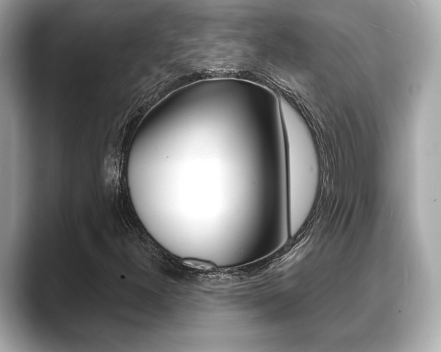 X0000089741300200706210856