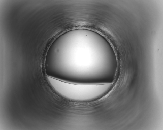 X0000089741305200706210856