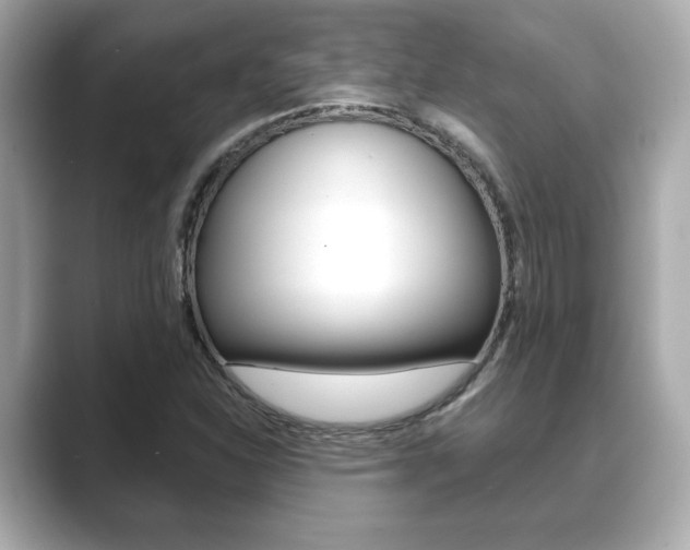 X0000089741310200706210856