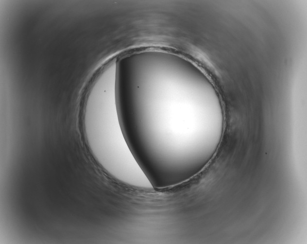 X0000089741312200706210856