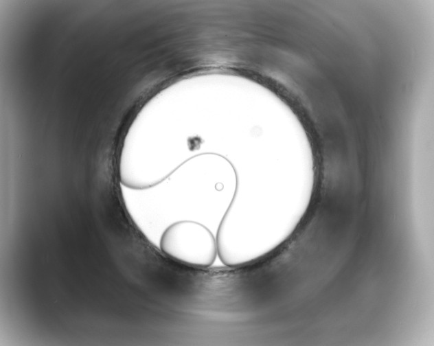 X0000089741314200706210856