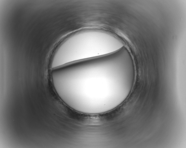 X0000089741315200706210856