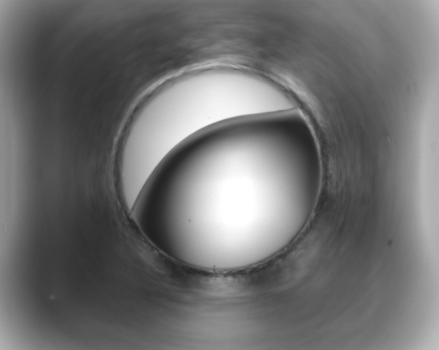 X0000089741316200706210856