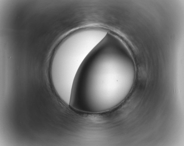 X0000089741319200706210856