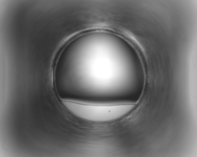 X0000089741320200706210856