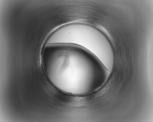 X0000089741324200706210856