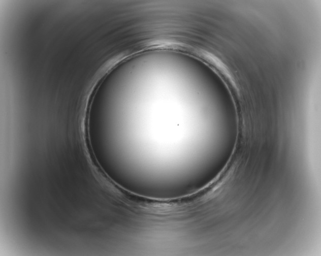 X0000089741330200706210856