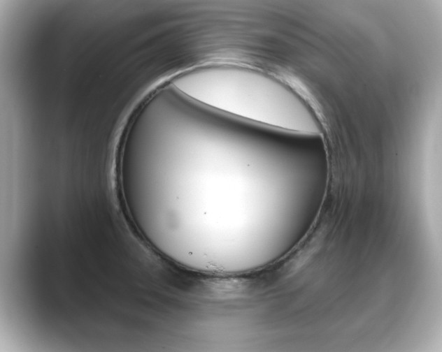 X0000089741331200706210856