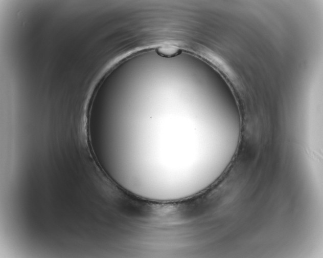 X0000089741332200706210856