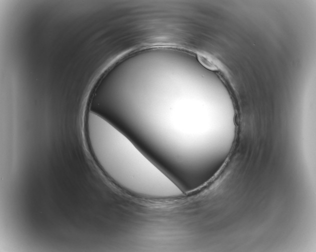 X0000089741333200706210856