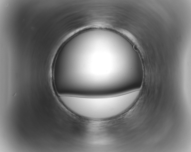 X0000089741335200706210856