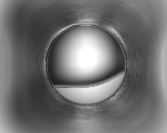 X0000089741336200706210856