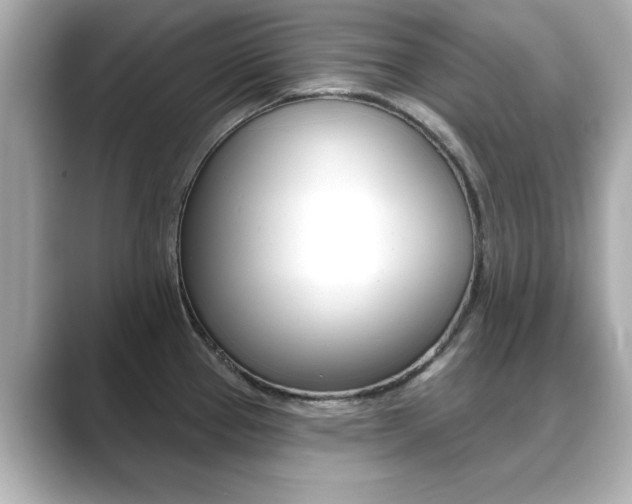 X0000089741337200706210856