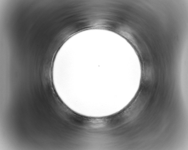 X0000089741338200706210856