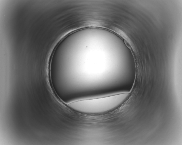 X0000089741339200706210856