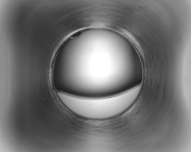 X0000089741340200706210856
