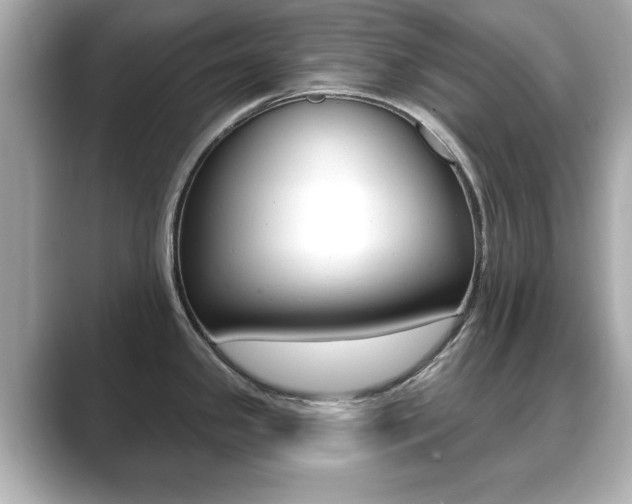X0000089741341200706210856