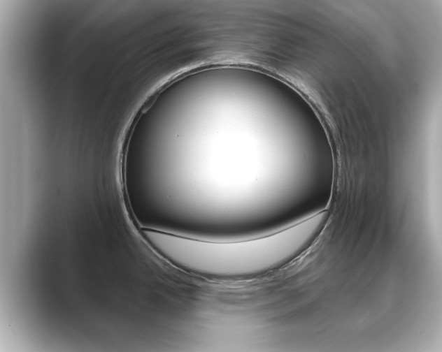 X0000089741342200706210856