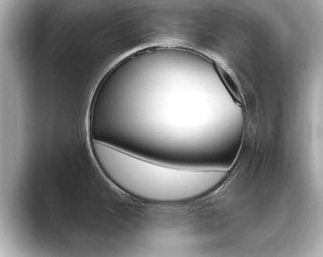 X0000089741343200706210856