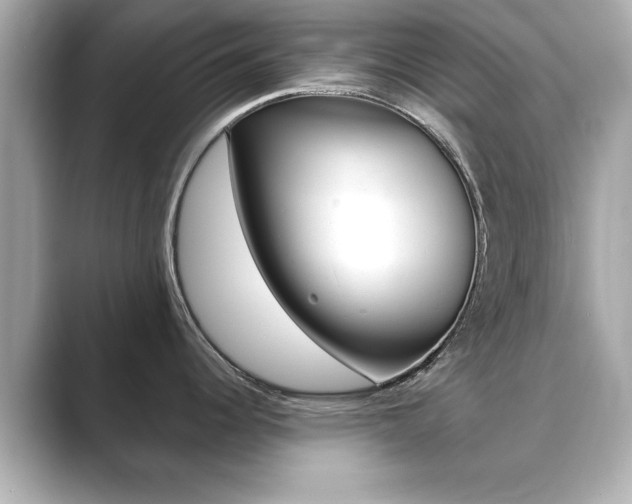 X0000089741344200706210856
