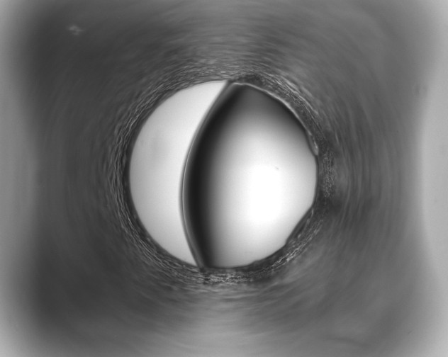 X0000089741345200706210856