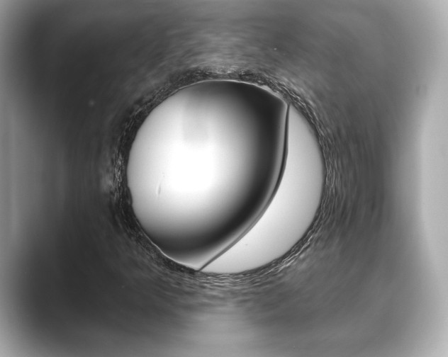 X0000089741349200706210856