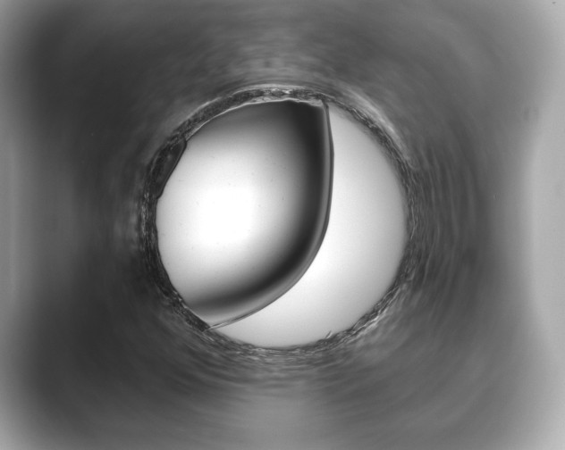 X0000089741352200706210855