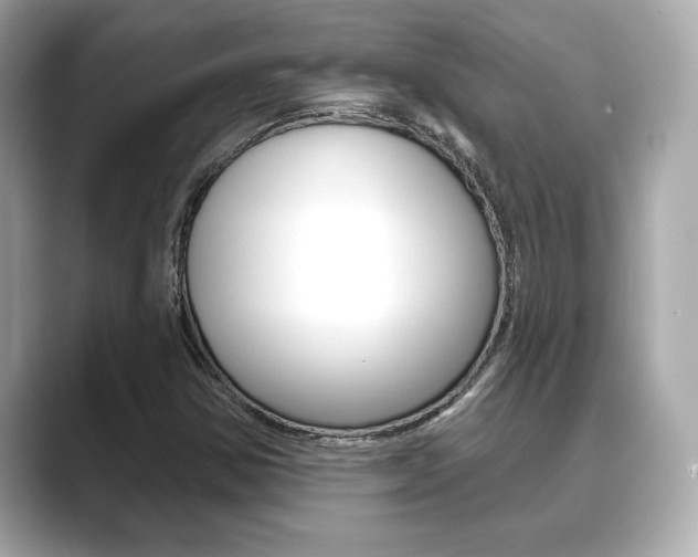 X0000089741354200706210855