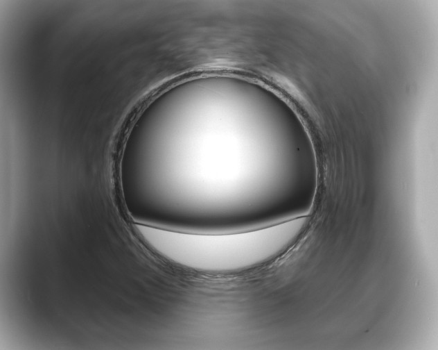 X0000089741356200706210855