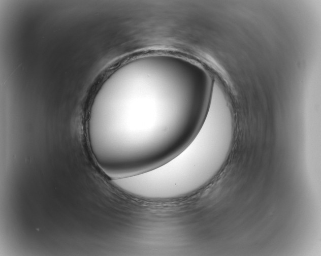 X0000089741360200706210855