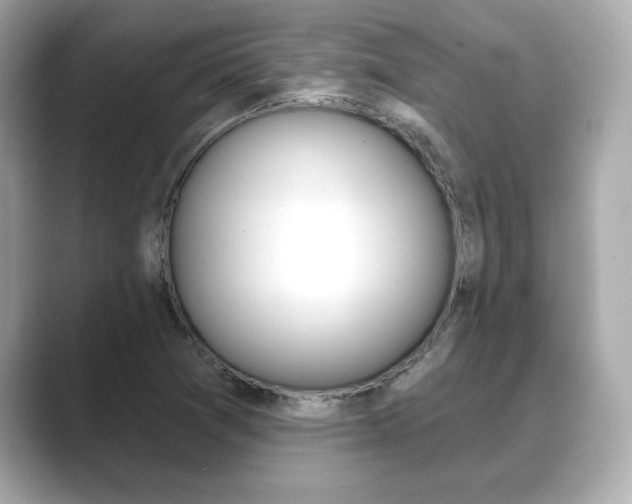 X0000089741361200706210855
