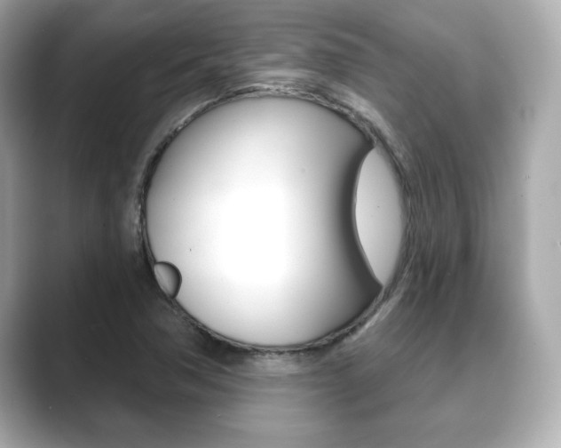 X0000089741362200706210855