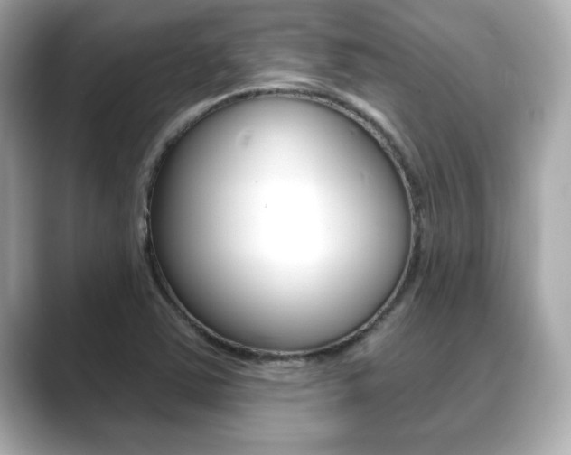 X0000089741363200706210855