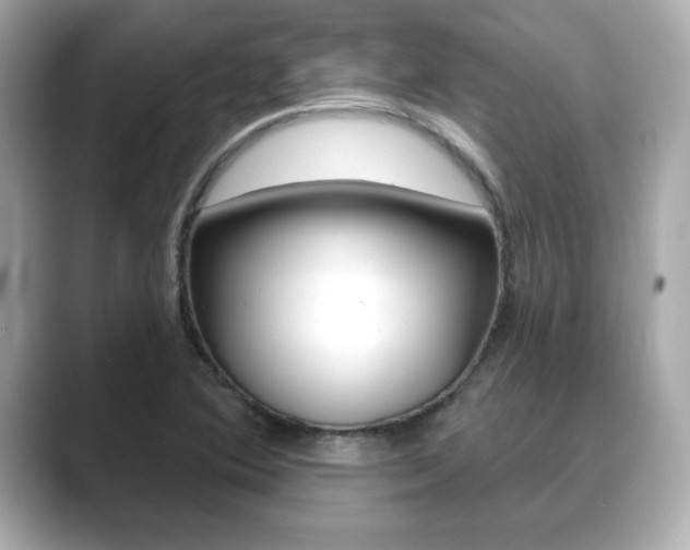 X0000089741364200706210855