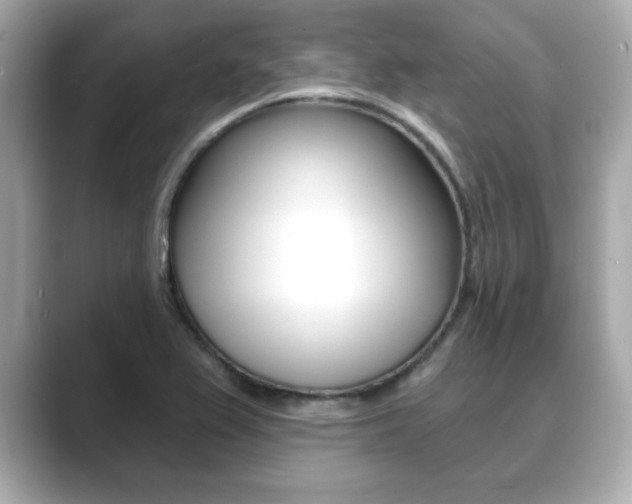 X0000089741367200706210855