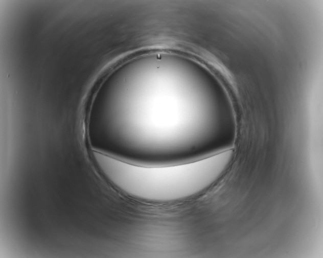 X0000089741368200706210855