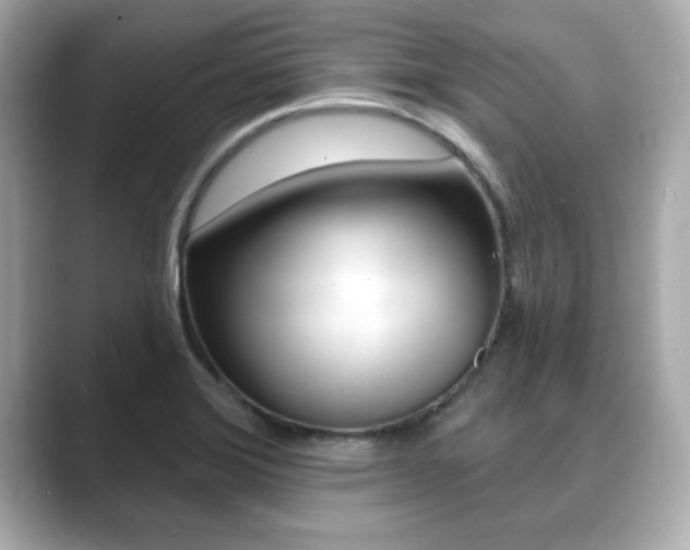X0000089741372200706210855