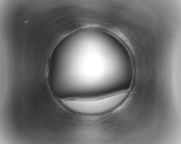 X0000089741377200706210855