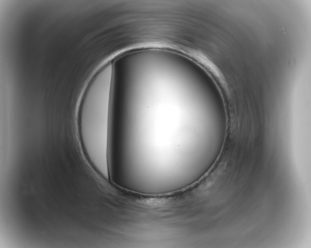 X0000089741380200706210855