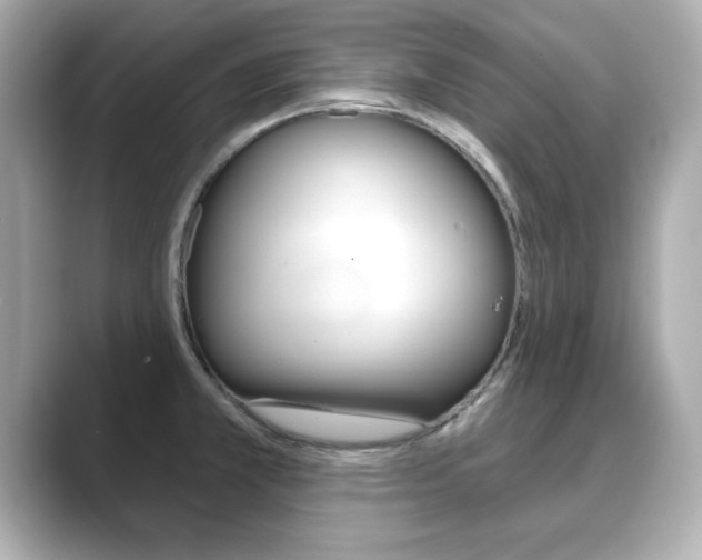 X0000089741381200706210855