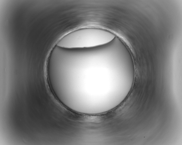 X0000089741382200706210855