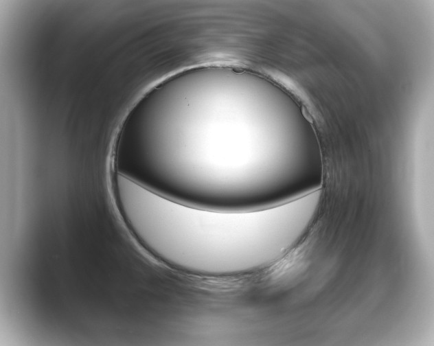 X0000089741383200706210855